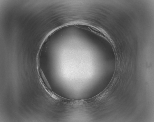 X0000052560862200507221434