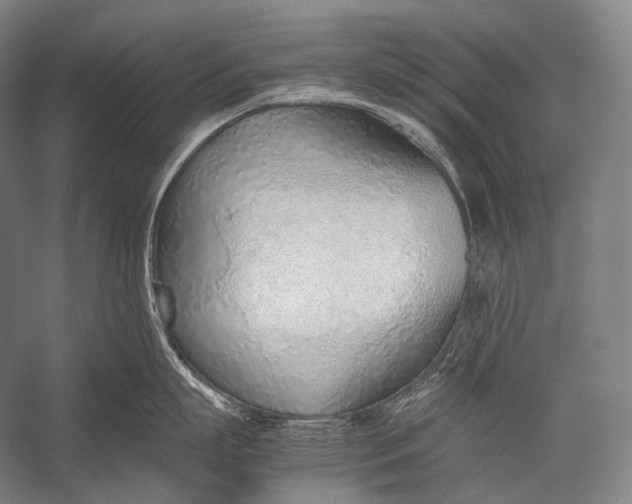 X0000052560863200507221434