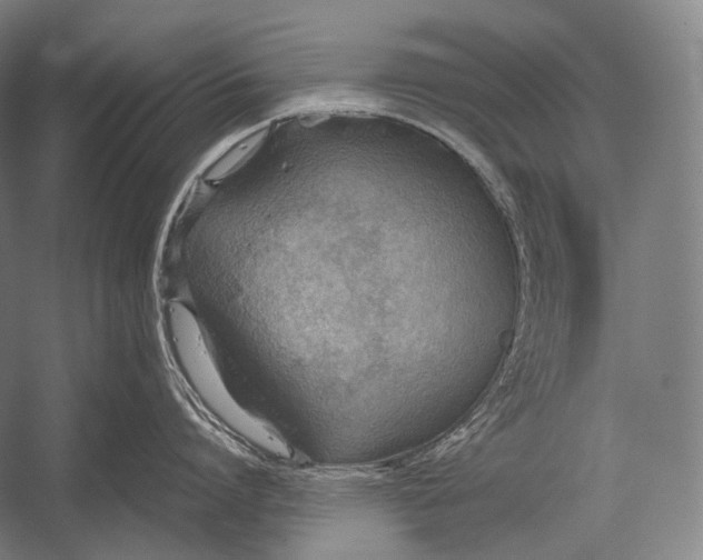 X0000052560864200507221434