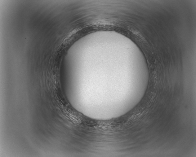 X0000052560870200507221433