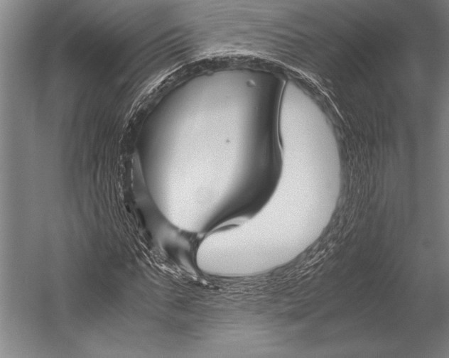 X0000052560871200507221433