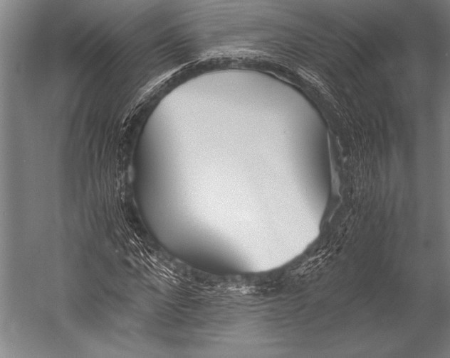 X0000052560872200507221433
