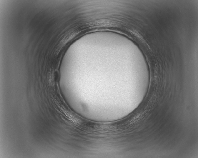 X0000052560873200507221433