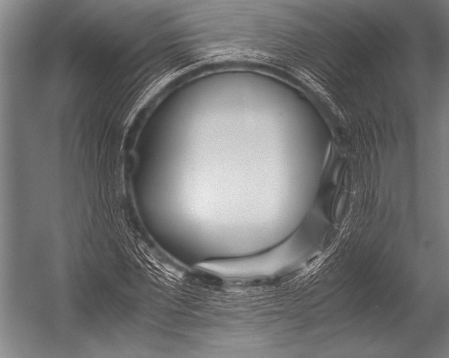 X0000052560877200507221433