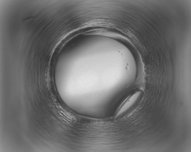 X0000052560880200507221433