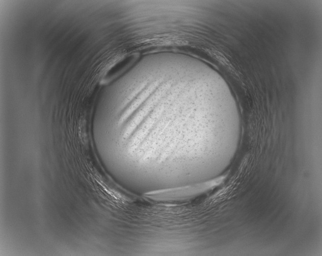 X0000052560881200507221433