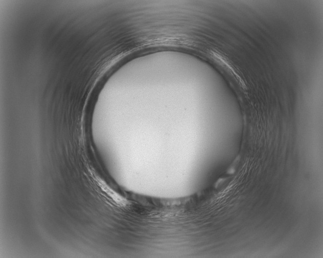 X0000052560884200507221433