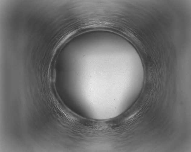 X0000052560885200507221433