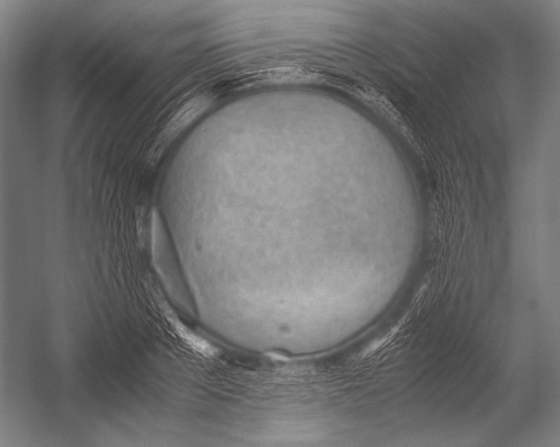 X0000052560889200507221433