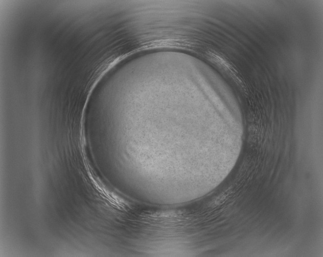X0000052560892200507221433