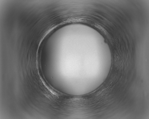 X0000052560894200507221433