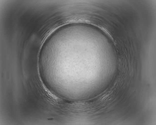 X0000052560895200507221433