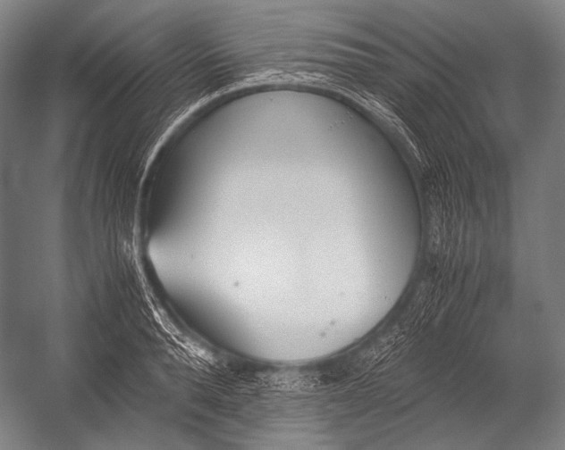 X0000052560896200507221433