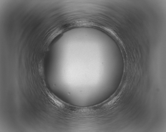 X0000052560897200507221433