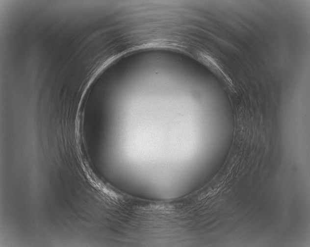 X0000052560900200507221433