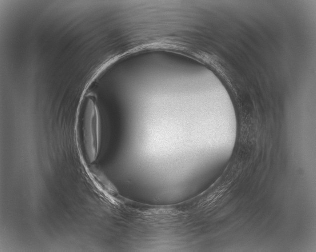 X0000052560902200507221432