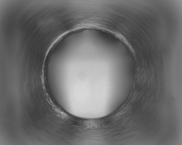 X0000052560904200507221432