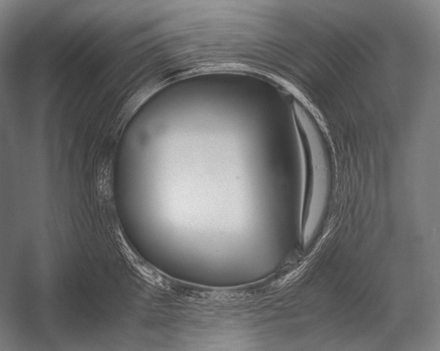 X0000052560905200507221432