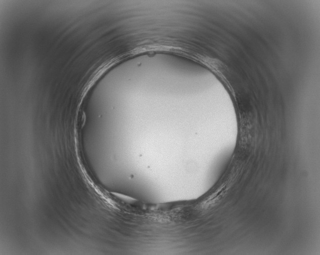 X0000052560906200507221432