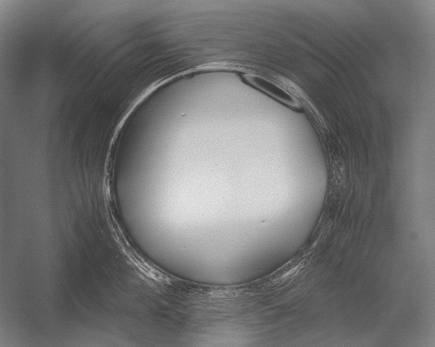 X0000052560908200507221432