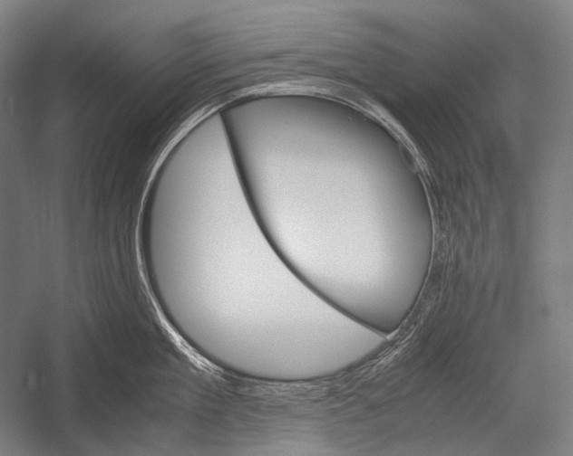 X0000052560909200507221432