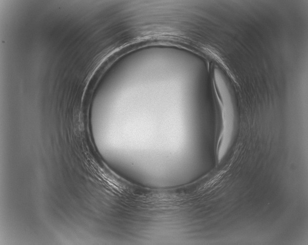 X0000052560924200507221432