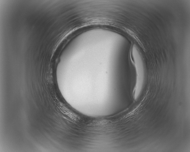 X0000052560926200507221432