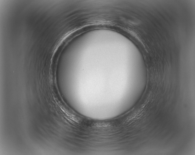 X0000052560927200507221432