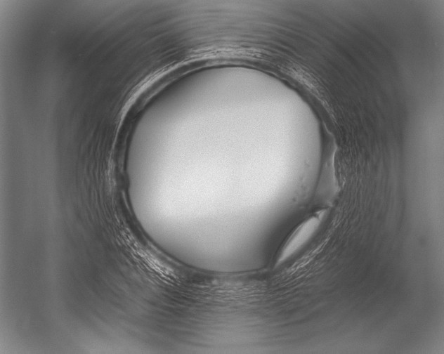X0000052560928200507221432