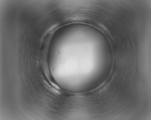 X0000052560930200507221432