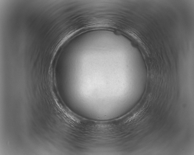 X0000052560933200507221432