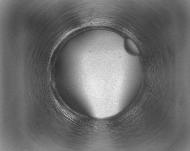 X0000052560934200507221432