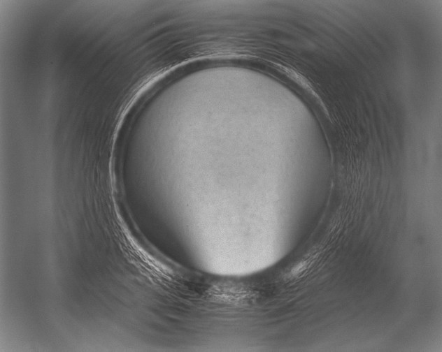 X0000052560935200507221432