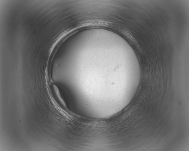 X0000052560936200507221432