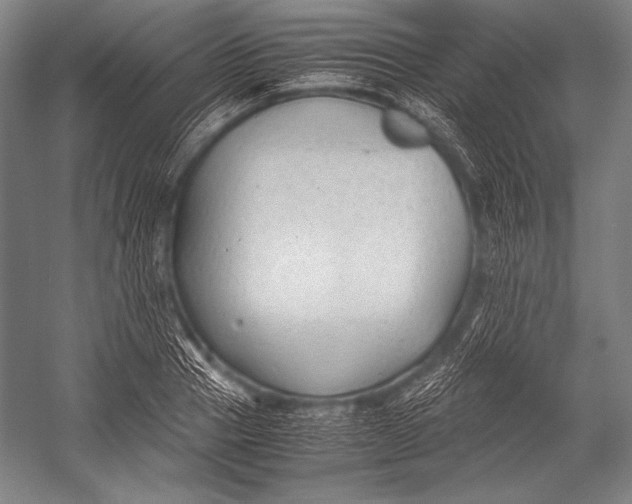 X0000052560937200507221432