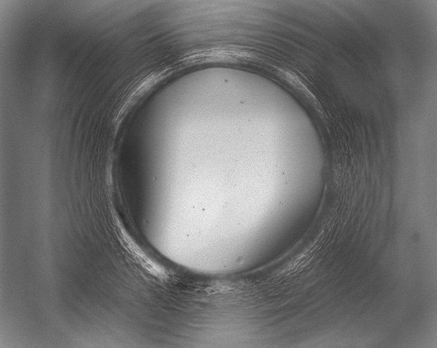X0000052560938200507221432