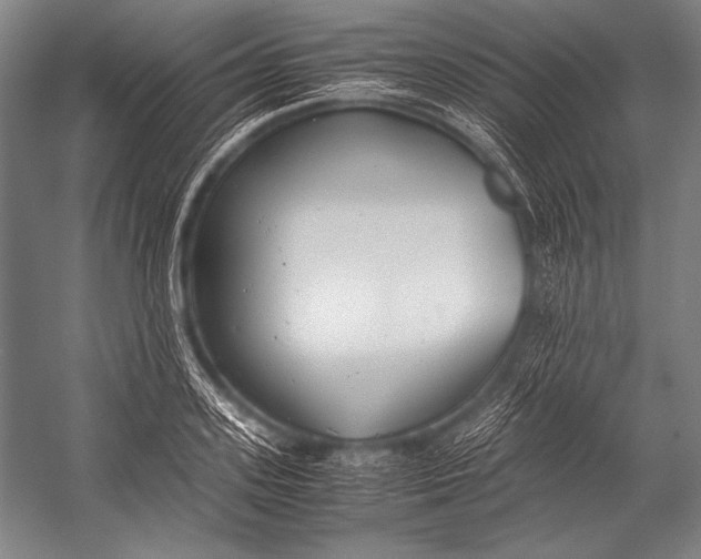 X0000052560939200507221432
