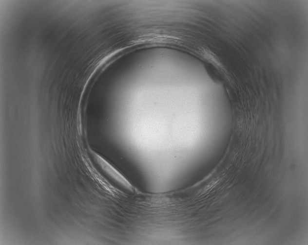 X0000052560940200507221432