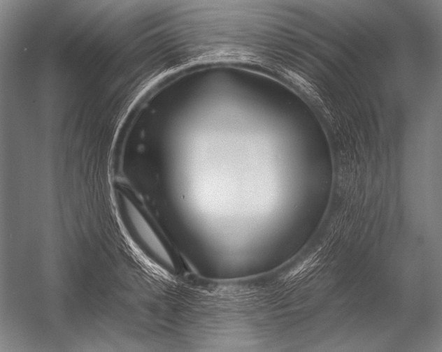 X0000052560942200507221432