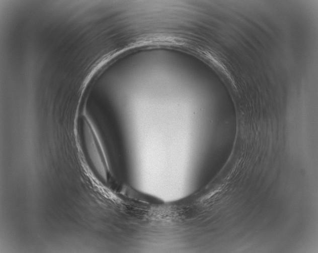 X0000052560944200507221432