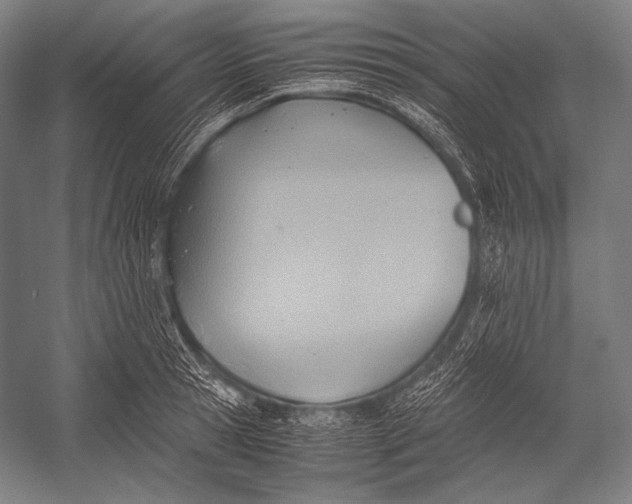 X0000052560945200507221432
