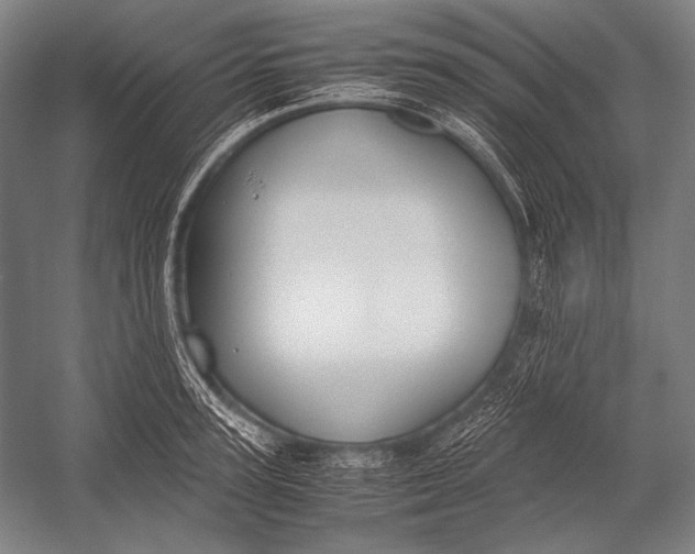 X0000052560947200507221432