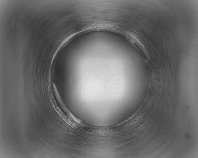 X0000052560948200507221432