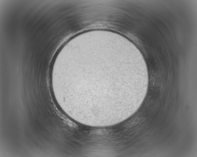 X0000052560950200507221432