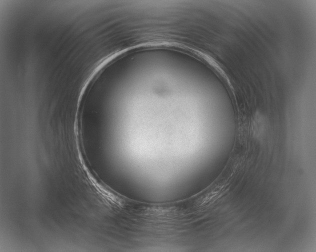 X0000052560951200507221432