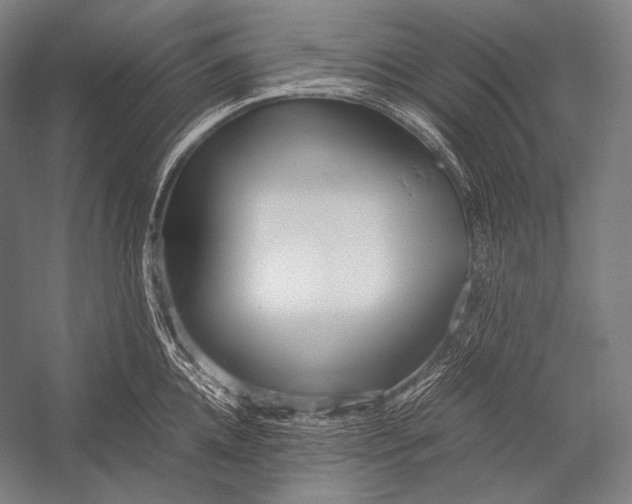 X0000052560952200507221432