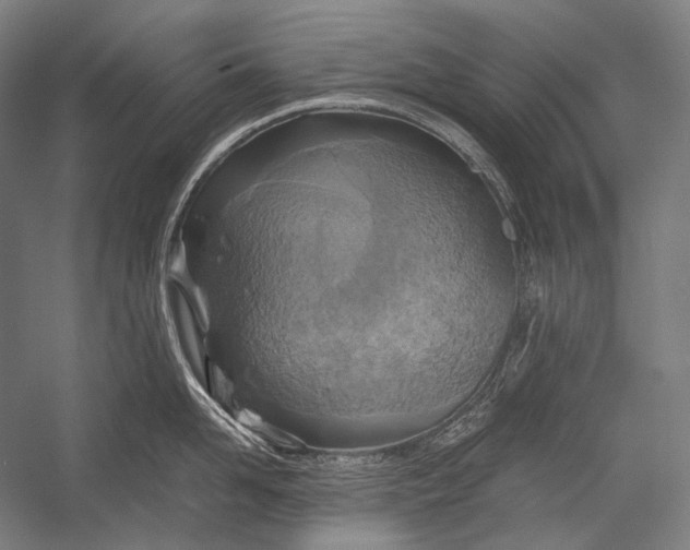 X0000052560958200507221432