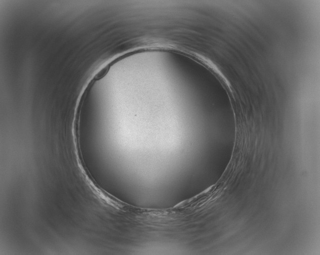 X0000052560959200507221432