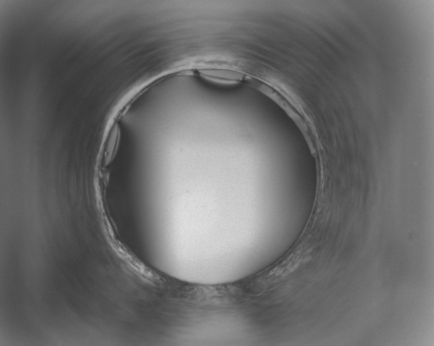 X0000052560960200507221432