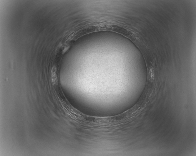 X0000052560963200507221431